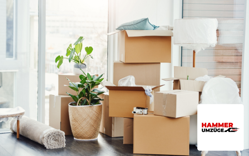 Webdesign Agentur Regensburg Referenz Umzugsunternehmen